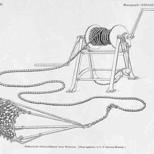 Meet your Posher, Needham